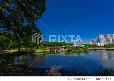 Hama-rikyu Gardens: Summer 2023 Scenery 49 108468153