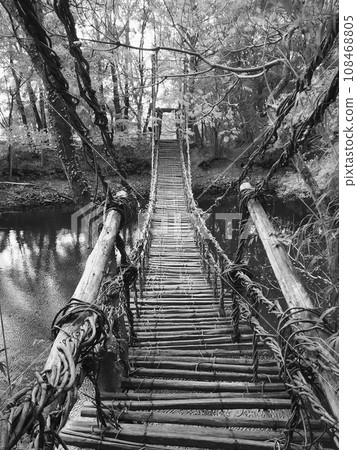 Kazura Bridge 108468805