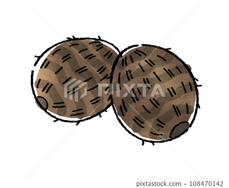 Taro 108470142