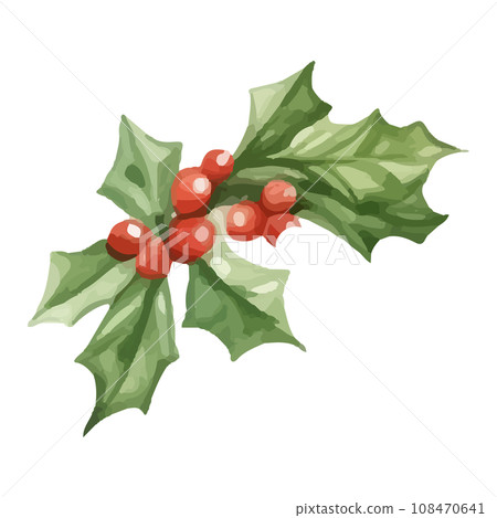 Watercolor style transparent illustration of holly Watercolor style transparent illustration of holly 108470641