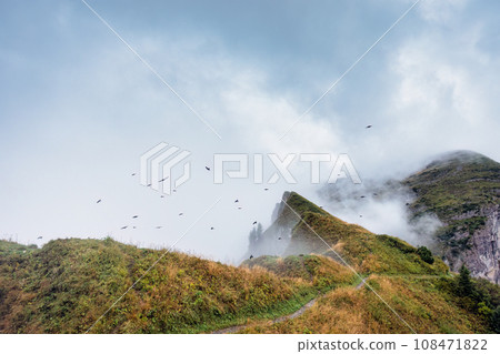 Foggy mountain ridge with flock of bird flying on Saxer Lucke viewpoint in the morning at Appenzell, Switzerland 108471822