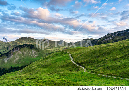 Landscape of green hill of swiss alps with trail path and blue sky at Switzerland 108471834