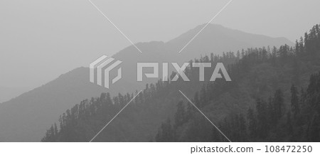 Black and white image of mountain forests near Ghandruk, Nepal. 108472250