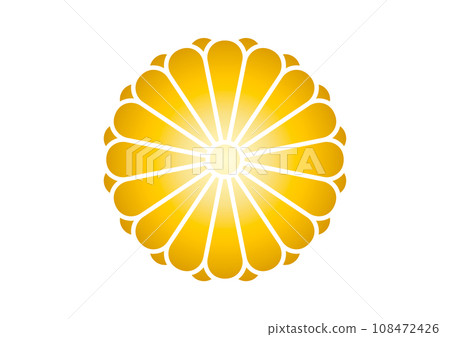 八重16菊花金 108472426