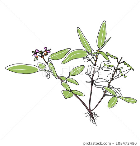 Illustration of a clinging insect 108472480