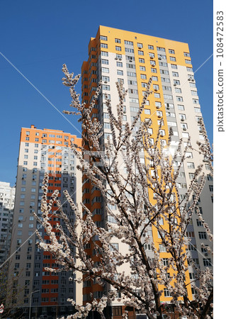 In spring, flowers on fruit trees bloom from the buds. In spring, flowers on fruit trees bloom from the buds. 108472583