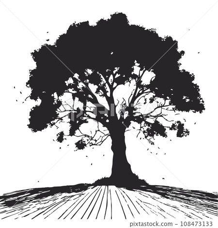collection of big tree silhouettes in summer on isolated white background collection of big tree silhouettes in summer on isolated white background 108473133