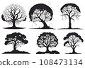 collection of big tree silhouettes in summer on isolated white background collection of big tree silhouettes in summer on isolated white background 108473134