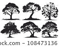 collection of big tree silhouettes in summer on isolated white background collection of big tree silhouettes in summer on isolated white background 108473136