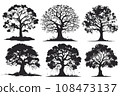 collection of big tree silhouettes in summer on isolated white background collection of big tree silhouettes in summer on isolated white background 108473137