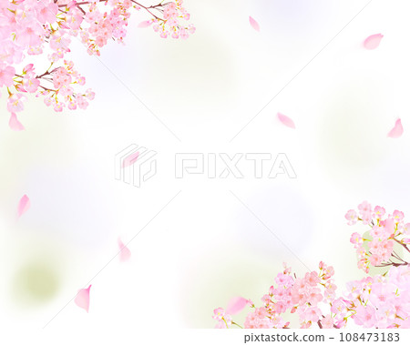 Cute pale pink cherry blossoms and petals spring watercolor white background frame background material illustration 108473183
