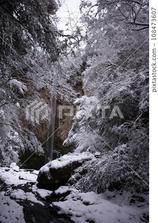 宇佐市(阿吉姆町)東石屋瀑布雪景 宇佐市(阿吉姆町)東石屋瀑布雪景 108473607