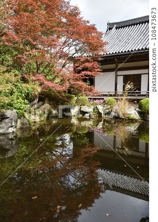 Yakushido Garden Yoshimineji Temple Yakushido Garden Yoshimineji Temple 108473673