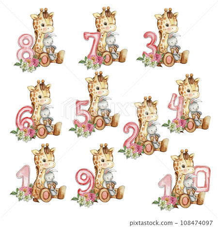 Watercolor hand drawn small baby giraffe with dahlia flowers and numbers composition. African baby animal for baby shower party design, birthday, cake, kids room decorations, poster, fabric. Watercolor hand drawn small baby giraffe with dahlia flowers and numbers composition. African baby animal for baby shower party design, birthday, cake, kids room decorations, poster, fabric. 108474097