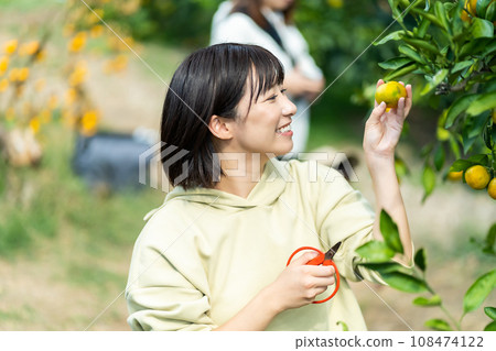 Woman picking oranges, traveling on holiday 108474122