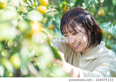 度假旅行摘橘子的女人 度假旅行摘橘子的女人 108474133