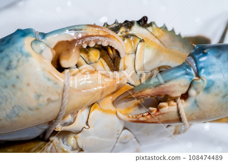 Sawfish, crab, crab, crab, crab 108474489