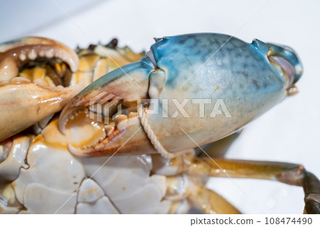 Sawfish, crab, crab, crab, crab 108474490