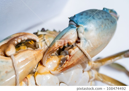 鋸鰩、蟹、蟹、蟹、蟹 108474492
