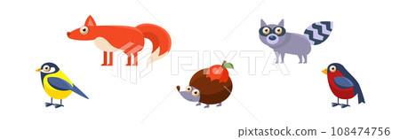 Forest Animals with Fox, Raccoon, Bird and Hedgehog Vector Set Forest Animals with Fox, Raccoon, Bird and Hedgehog Vector Set 108474756