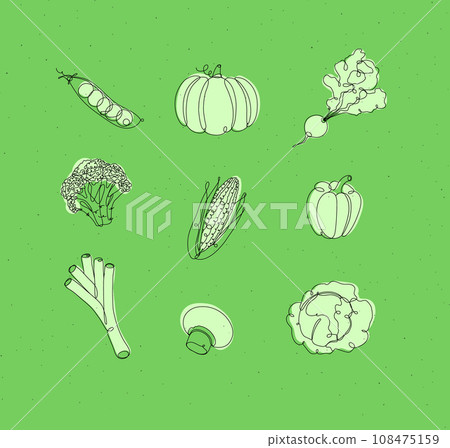 Vegetables icons in linear style green 108475159