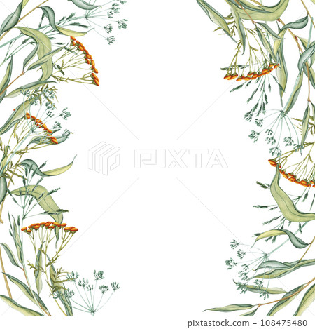Watercolor frame of bouquet meadow leaves and yellow tansy, flowers, branches and wild dry grass. Evergreen grass field in nature, meadow in springtime. Summer botany, natural elements. Natural green Watercolor frame of bouquet meadow leaves and yellow tansy, flowers, branches and wild dry grass. Evergreen grass field in nature, meadow in springtime. Summer botany, natural elements. Natural green 108475480