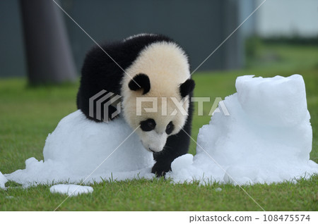 湯濱玩冰 108475574