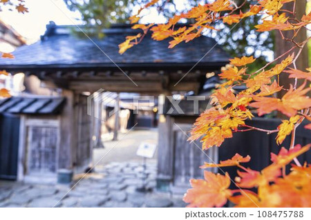 Autumn scenery of autumn leaves on Kakunodate Samurai Residence Street (Kawarda House), Semboku City, Akita Prefecture 108475788