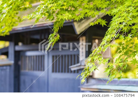 Autumn Kakunodate Samurai Residence Street (Aoyagi House) Scenery of autumn leaves, Semboku City, Akita Prefecture Autumn Kakunodate Samurai Residence Street (Aoyagi House) Scenery of autumn leaves, Semboku City, Akita Prefecture 108475794