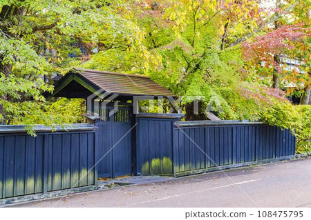 Autumn Kakunodate Samurai Residence Street (Aoyagi House) Scenery of autumn leaves, Semboku City, Akita Prefecture Autumn Kakunodate Samurai Residence Street (Aoyagi House) Scenery of autumn leaves, Semboku City, Akita Prefecture 108475795