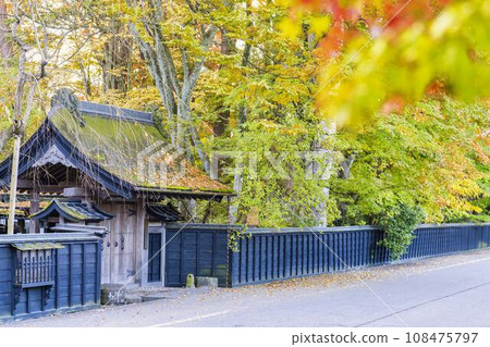 Autumn Kakunodate Samurai Residence Street (Aoyagi House) Scenery of autumn leaves, Semboku City, Akita Prefecture Autumn Kakunodate Samurai Residence Street (Aoyagi House) Scenery of autumn leaves, Semboku City, Akita Prefecture 108475797