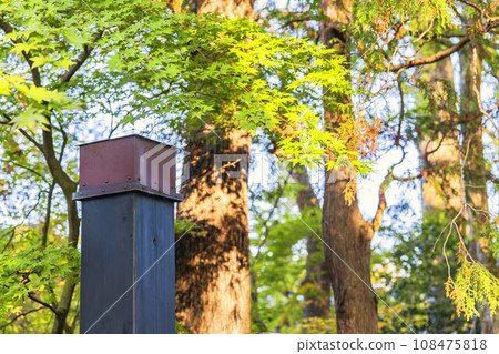 Autumn Kakunodate Samurai Residence Street, autumn leaves scenery, Semboku City, Akita Prefecture 108475818
