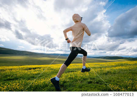 Woman trail runner cross country running at high altitude flowering mountain 108477013
