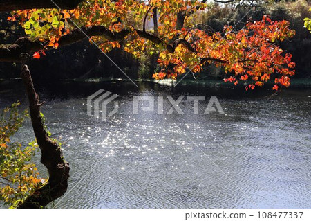 秋天的岩石蝦虎魚和河流風景 108477337