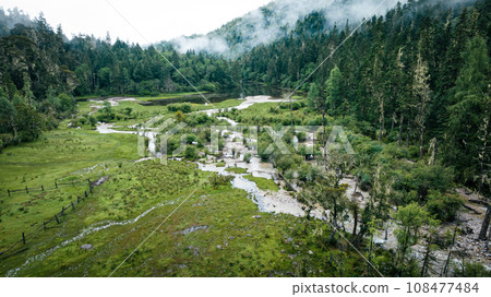 Beautiful pine tree forest and lake landscape China Beautiful pine tree forest and lake landscape China 108477484