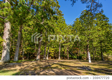 Motsuji Temple, Kashoji Ruins, Heian period Pure Land garden remains, which are especially valuable in the history of Japanese gardens, World Heritage Site, National Special Historic Site and Special Place of Scenic Beauty 108477720