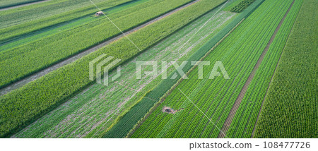 Aerial view of the vegetable field in northern china Aerial view of the vegetable field in northern china 108477726