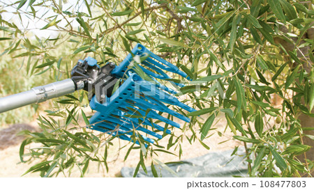 Pneumatic olive harvester Pneumatic olive harvester 108477803