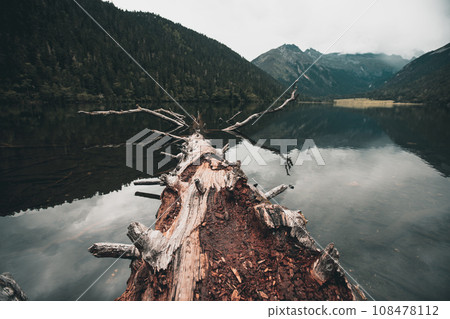 Hiking woman on a one plank bridge in high altitude mountains Hiking woman on a one plank bridge in high altitude mountains 108478112