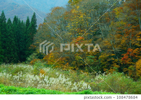 Autumn foliage scenery around Shimizu, Minamiuonuma City, Niigata Prefecture Autumn foliage scenery around Shimizu, Minamiuonuma City, Niigata Prefecture 108478684