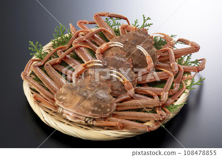 Seiko crab Seiko crab 108478855