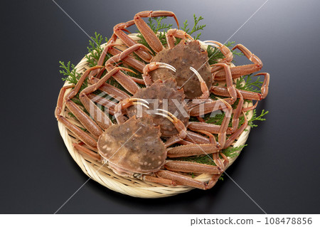 Seiko crab Seiko crab Seiko crab Seiko crab 108478856