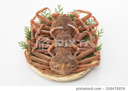 Seiko crab Seiko crab 108478859