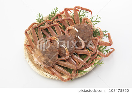 精工蟹 精工蟹 108478860