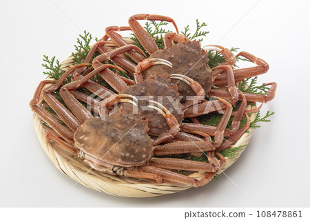 精工蟹 精工蟹 108478861