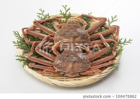 Seiko crab Seiko crab Seiko crab Seiko crab 108478862