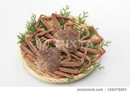 Seiko crab Seiko crab 108478865