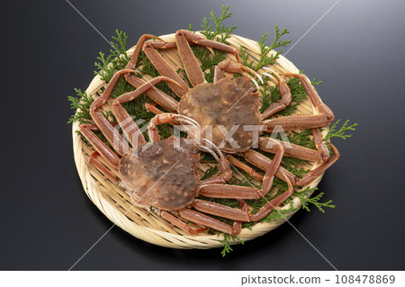 Seiko crab Seiko crab 108478869