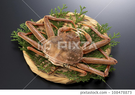 Seiko crab Seiko crab 108478873