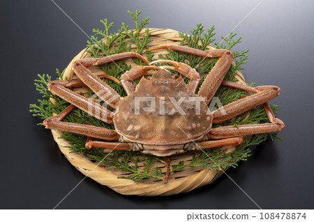 Seiko crab Seiko crab 108478874